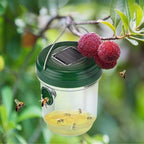 Solar-Powered Outdoor Wasp Trap Set - Euroselle