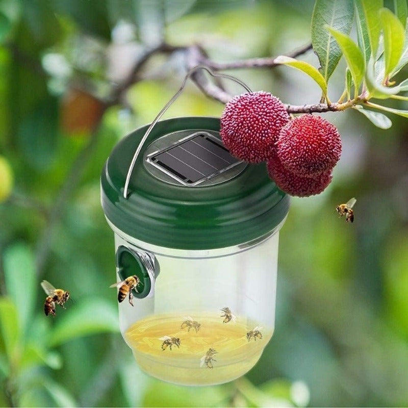 Solar-Powered Outdoor Wasp Trap Set - Euroselle