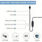 Ultra Bright Adjustable LED Clip Lamp - Euroselle