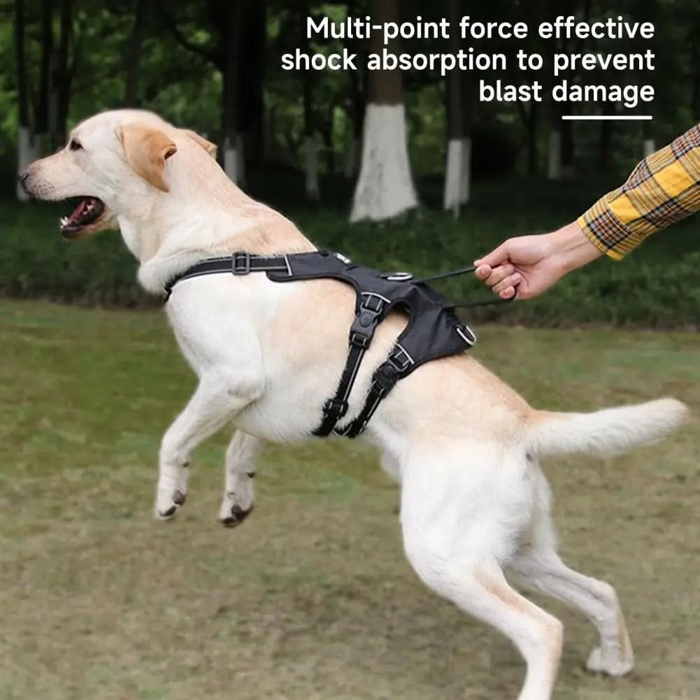 CalmWalk 反射ナイロン製犬用ハーネス — 引っ張り防止・脱走防止デザイン