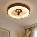 Modern Minimalist LED Ceiling Fan and Light