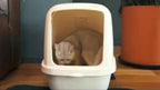 Honigwaben-Wasserdichte Katzenstreu-Matte mit Geruchskontrolle & waschbar - Euroselle