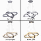 Sierra Ring Pendant Light