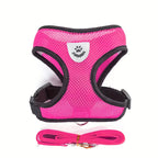 Reflective Pet Vest with Leash for Dogs and Cats - Euroselle
