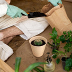 Biodegradable Seed Starter Pots for Easy Transplanting - Euroselle