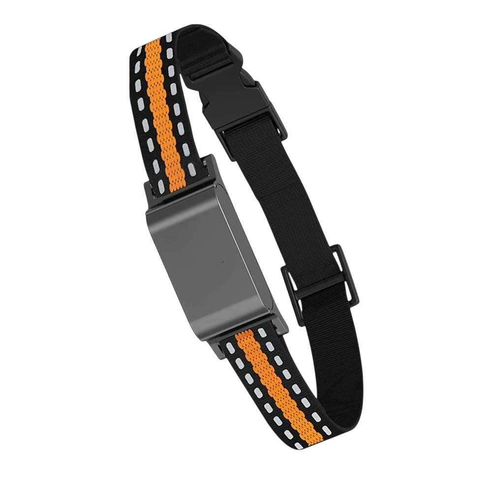 Cat Collar GPS Location Monitor — Geofence Alerts & Route History