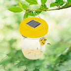 Solar-Powered Outdoor Wasp Trap Set - Euroselle