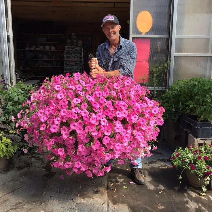 Kunstzijden bloemen voor hangmanden - weerbestendig, 7 kleuren