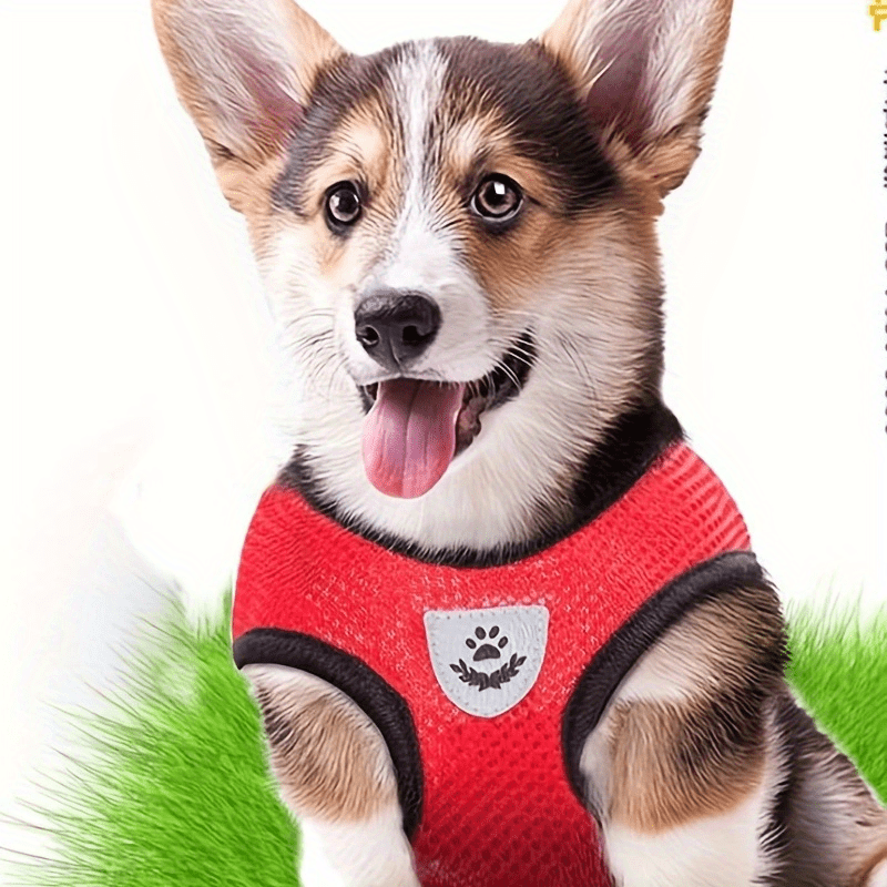 Reflective Pet Vest with Leash for Dogs and Cats - Euroselle