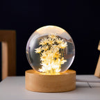 3D Crystal Flower LED Night Light – Decorative USB Powered Night Lamp with Real Bloom in Clear Crystal Sphere | Euroselle