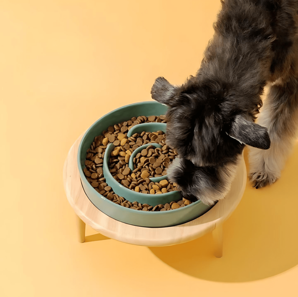 WhiskerNest Slow Feeder Bowl — Labyrinth Layout Design