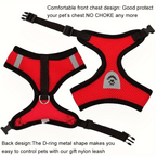 Reflective Pet Vest with Leash for Dogs and Cats - Euroselle