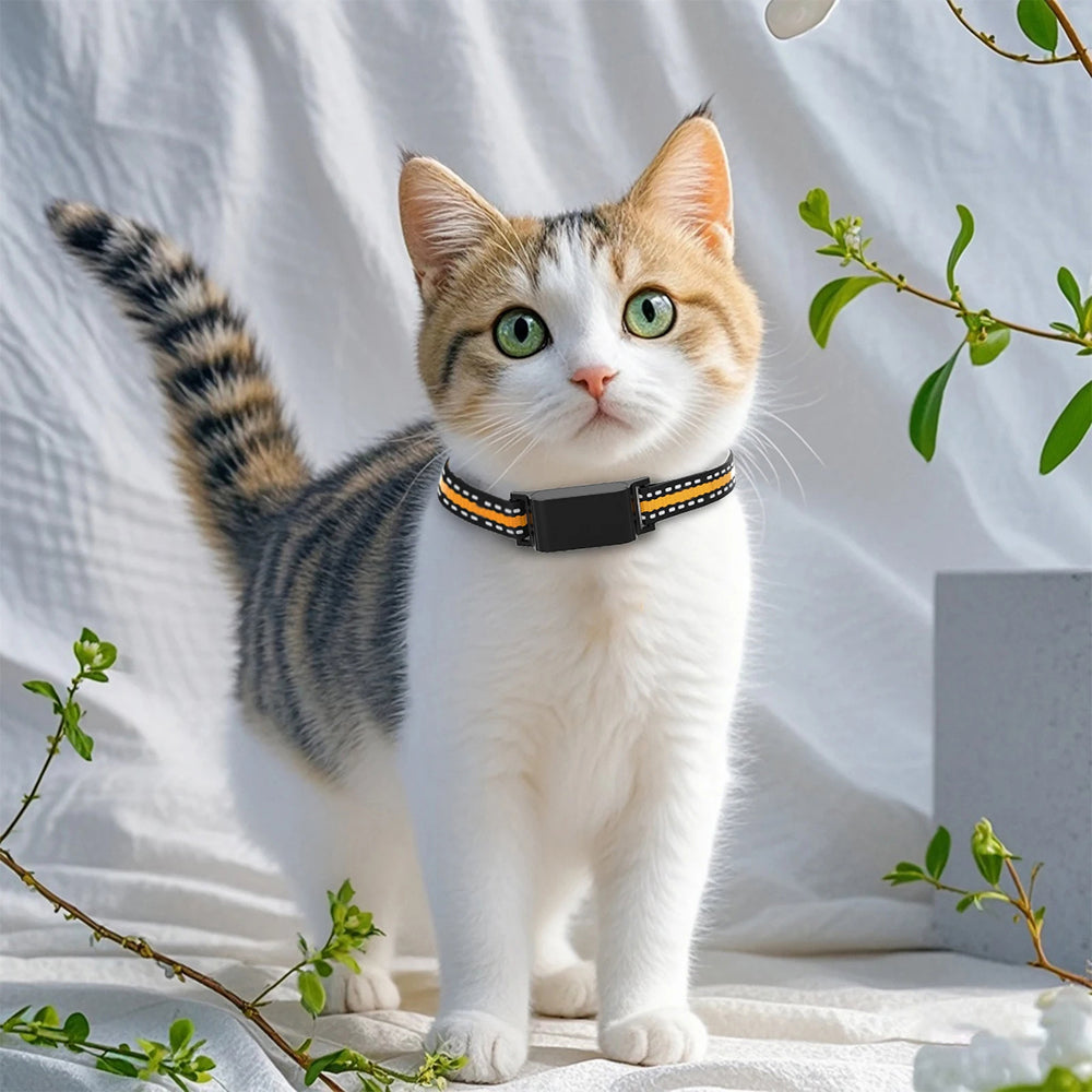 Cat Collar GPS Location Monitor — Geofence Alerts & Route History