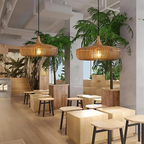 NaturLampa pendant Lamp