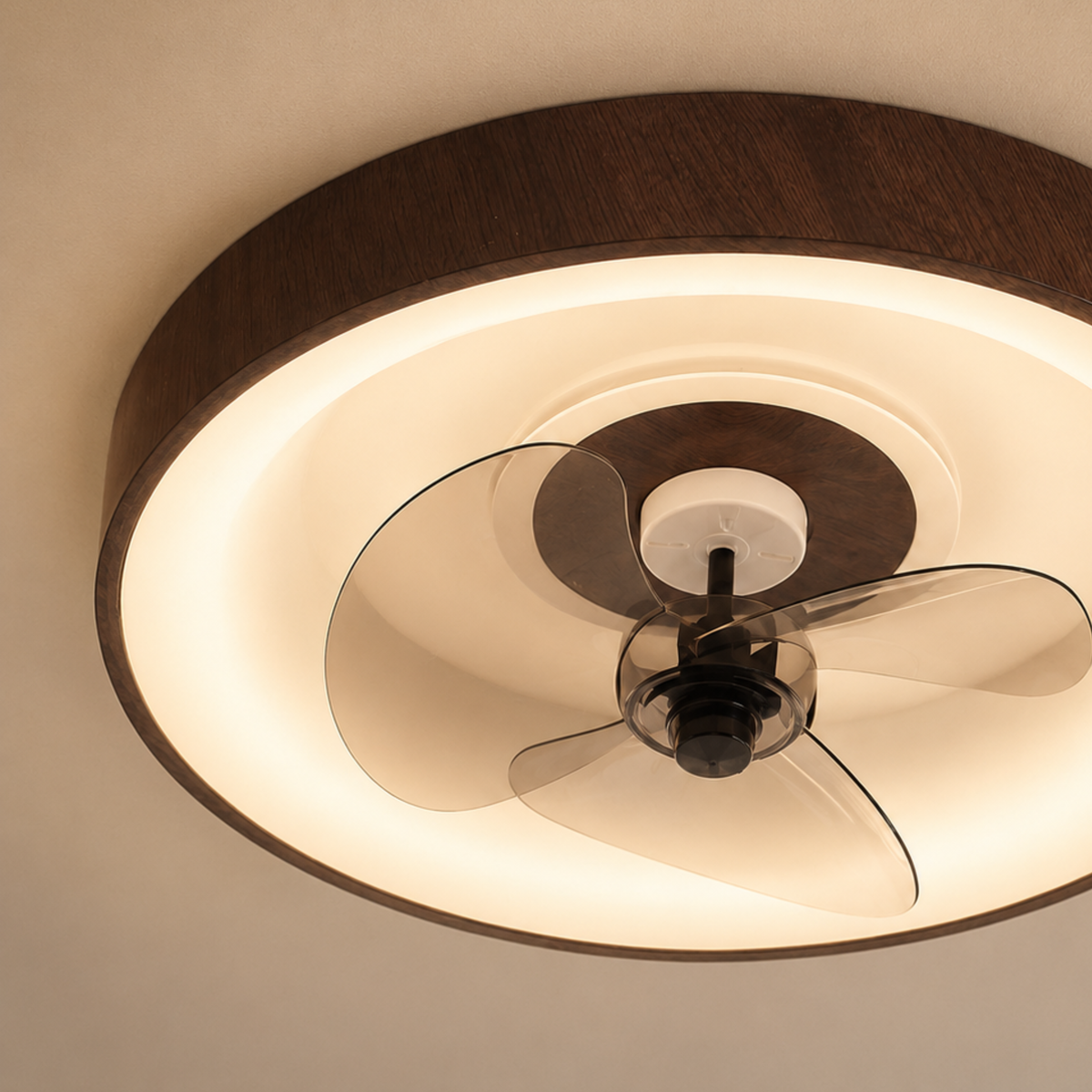 Modern Minimalist LED Ceiling Fan and Light