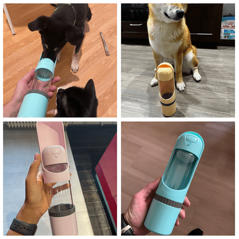 Gourde de voyage 2-en-1 pour animaux TrailMate — Gamelle intégrée pour nourriture et eau