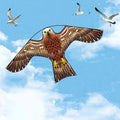 Raptor-Drachenattrappe — windbetriebene Vogelabwehr für Nutzpflanzen