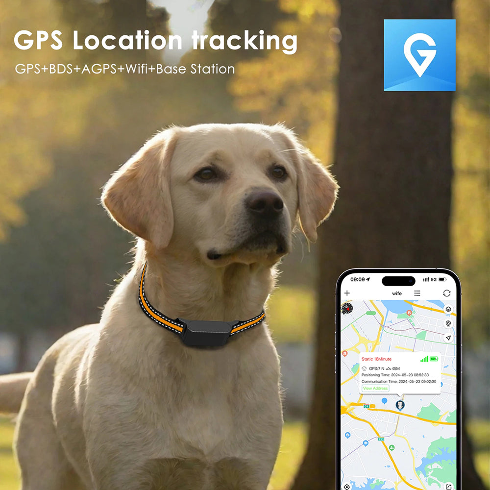 Cat Collar GPS Location Monitor — Geofence Alerts & Route History