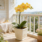 Vintage Ceramic Planter for Elegant Indoor Plant Display - Euroselle