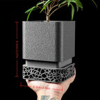 Modern Geometric Planter with Drainage Tray for Clean Plant Display - Euroselle