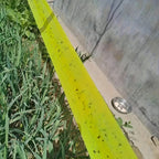 Sticky Outdoor Insect Barrier Tape - Euroselle