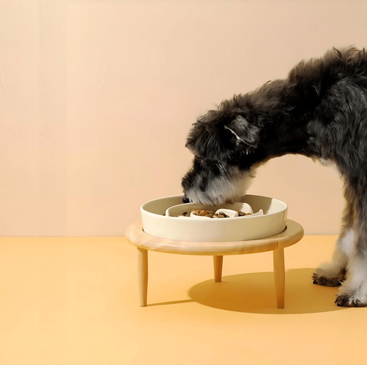 WhiskerNest Slow Feeder Bowl — Labyrinth Layout Design