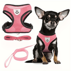 Reflective Pet Vest with Leash for Dogs and Cats - Euroselle
