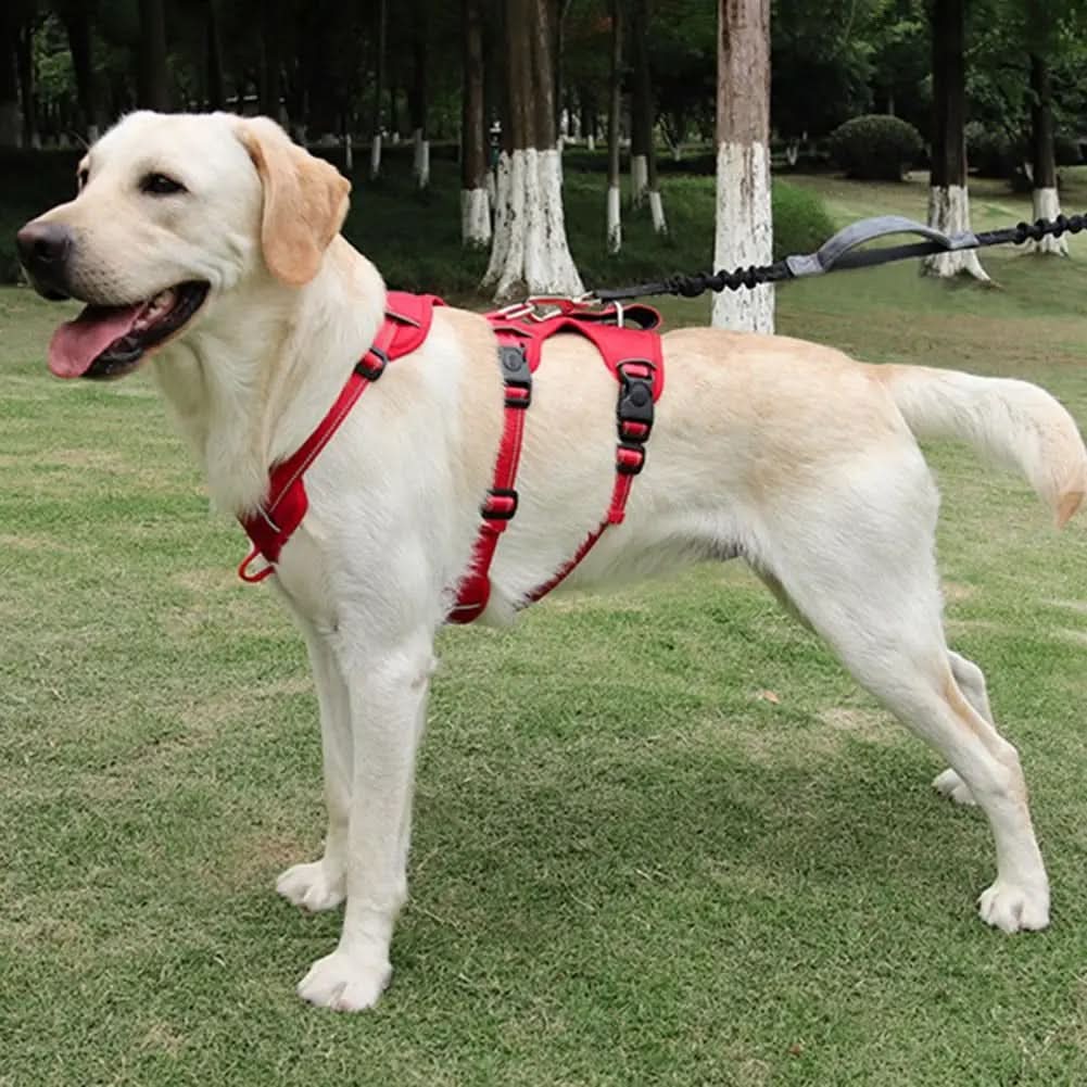 CalmWalk 反射ナイロン製犬用ハーネス — 引っ張り防止・脱走防止デザイン