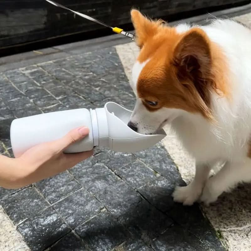 TrailMate skládací láhev na vodu pro domácí mazlíčky s objemem 550 Ml