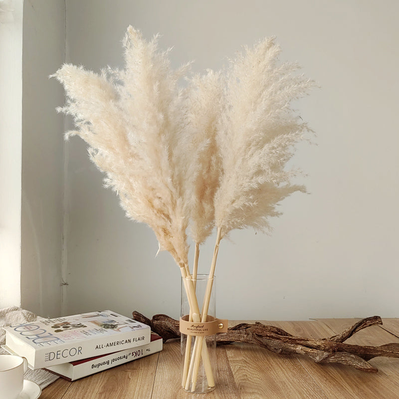 Confezione da 10 steli di erba della Pampa artificiale — canne soffici beige naturale