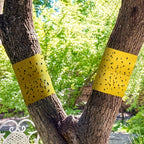 Sticky Outdoor Insect Barrier Tape - Euroselle