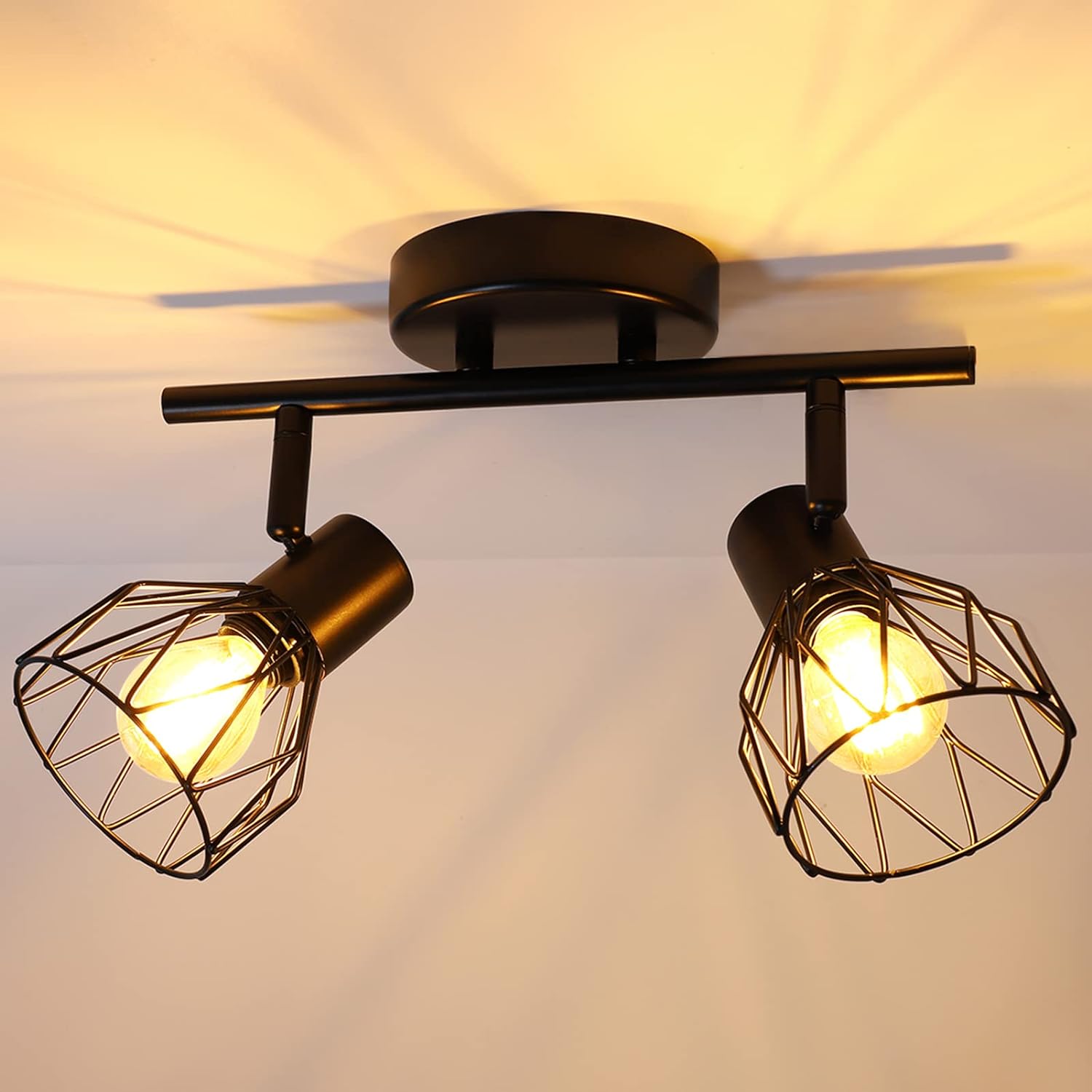 Adjustable Spotlight Fixture Black Metal Wire Cage Ceiling Wall Mount | Euroselle