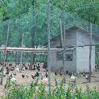 UV-Resistant Netting for Orchards, Birds & Deer - Euroselle