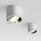 Aluminum LED Ceiling Light, 30° Adjustable Tilt, 7W–12W Options | Euroselle