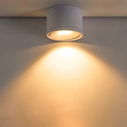 Aluminum LED Ceiling Light, 30° Adjustable Tilt, 7W–12W Options | Euroselle
