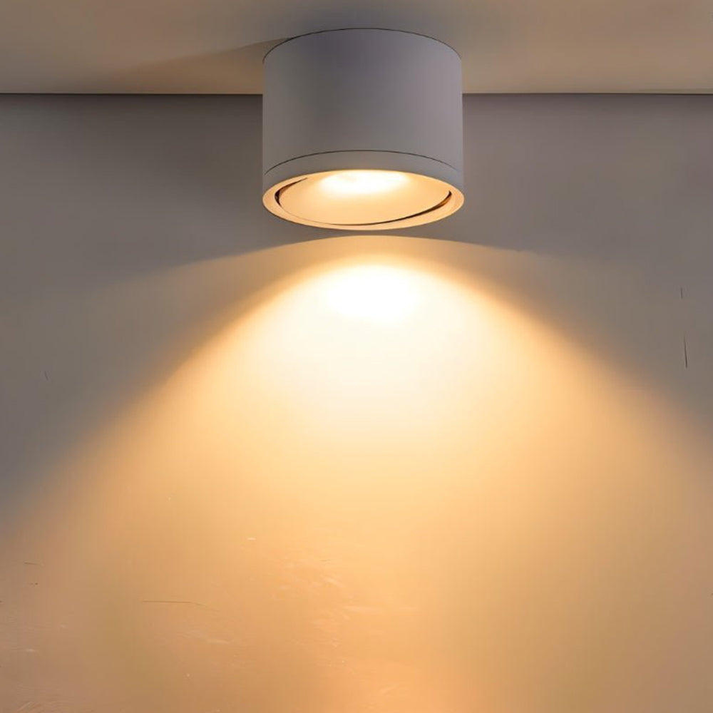 Aluminum LED Ceiling Light, 30° Adjustable Tilt, 7W–12W Options | Euroselle