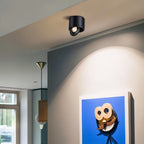 Aluminum LED Ceiling Light, 30° Adjustable Tilt, 7W–12W Options | Euroselle