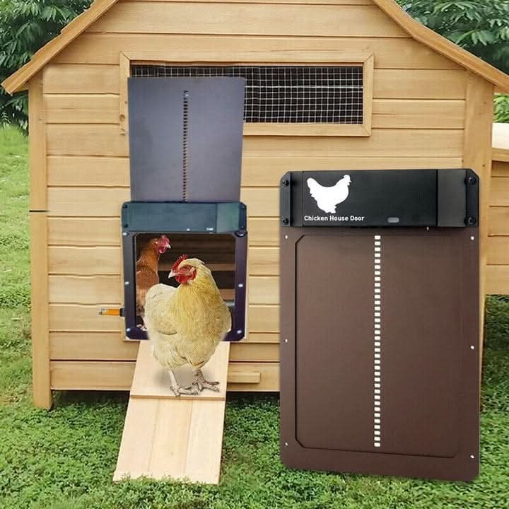 CoopGuard Automated Chicken Coop Door — Weatherproof Design, Light Sensor Control