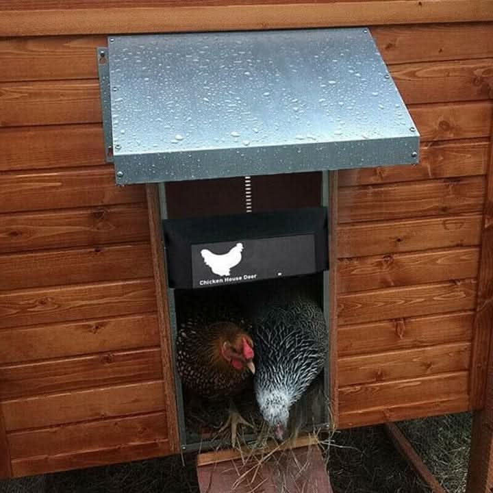 CoopGuard Automated Chicken Coop Door — Weatherproof Design, Light Sensor Control