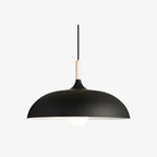Astra Pendant Light For Contemporary Living Spaces