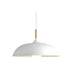 Astra Pendant Light For Contemporary Living Spaces