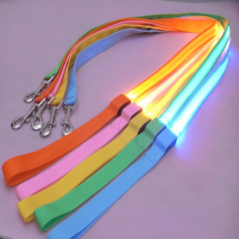 NovaTrail Night Walkers LED Dog Leash — Reflective Stitching, USB Rechargeable Battery