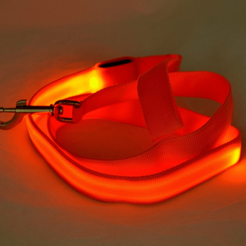 NovaTrail Night Walkers LED Dog Leash — Reflective Stitching, USB Rechargeable Battery