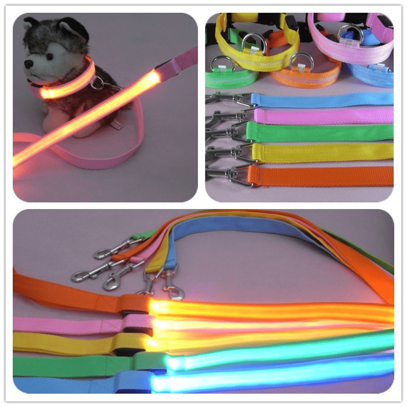 NovaTrail Night Walkers LED Dog Leash — Reflective Stitching, USB Rechargeable Battery