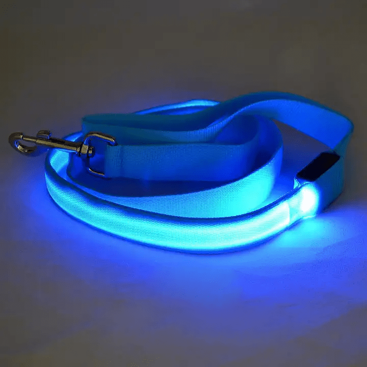 NovaTrail Night Walkers LED Dog Leash — Reflective Stitching, USB Rechargeable Battery