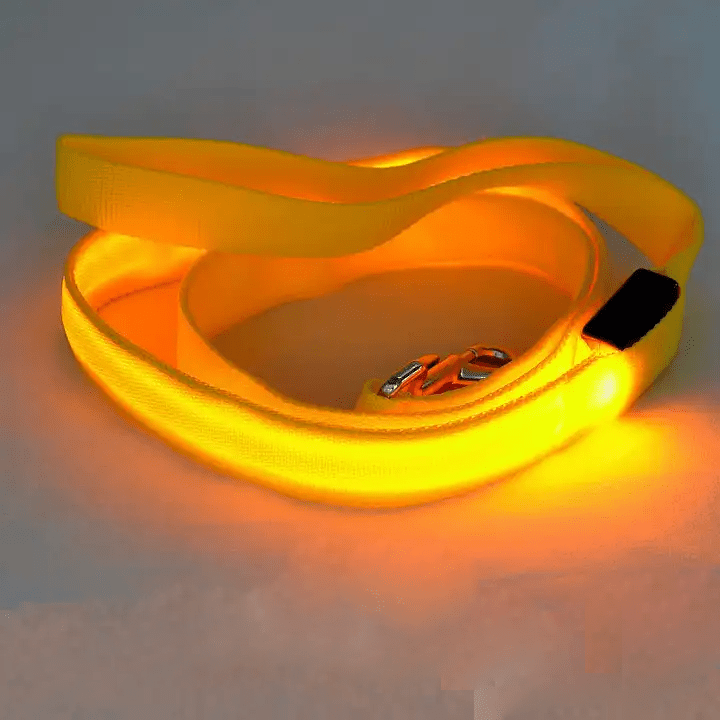 NovaTrail Night Walkers LED Dog Leash — Reflective Stitching, USB Rechargeable Battery