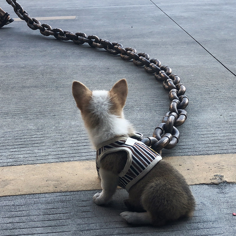 Einzigartiges verstellbares Hundehalsband mit langlebigem Metallketten-Design - Euroselle