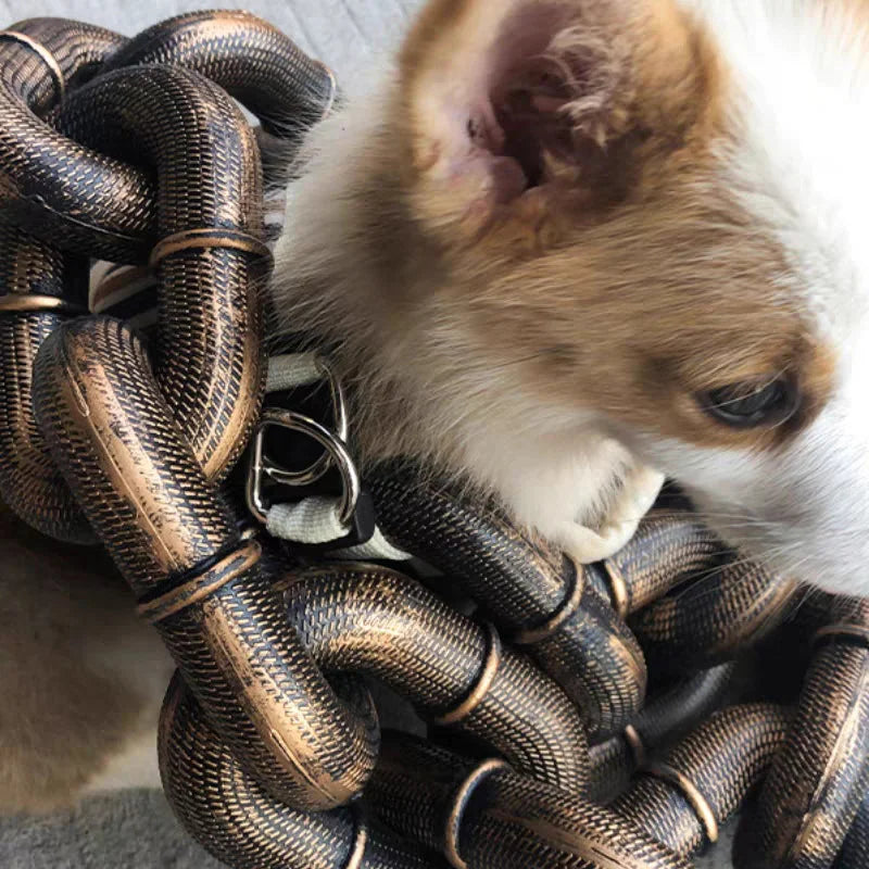 Einzigartiges verstellbares Hundehalsband mit langlebigem Metallketten-Design - Euroselle