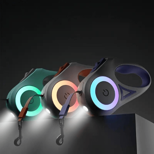 Laisse pour chien BrightTrail à LED — Éclairage par bande LED intégrée, illumination sur toute la longueur