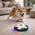 Balle interactive pour chien NovaPulse générant des mouvements imprévisibles